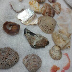 Meet your Posher, Irene